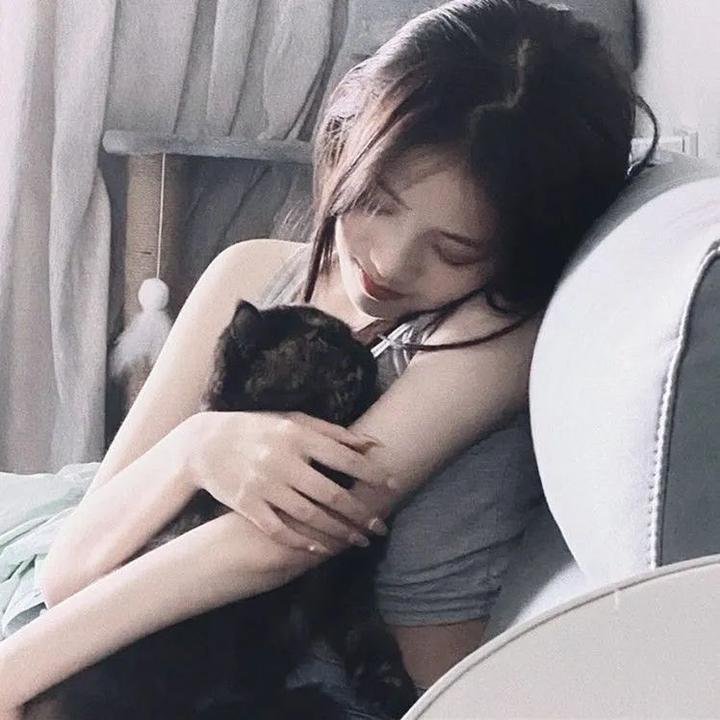少年泰坦：犹大契约